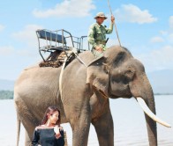 Tour Đắk Lắk từ TP Hồ Chí Minh 3 ngày 2 đêm: Buôn Mê Thuột – Buôn Đôn – Làng Cà Phê Trung Nguyên