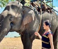 Tour Đắk Lắk 1 Ngày: Làng Cà Phê Trung Nguyên – Hồ Lắk – Núi Đá Voi Mẹ – Thác Dray Nur