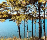 Tour Tây Nguyên từ TP Hồ Chí Minh 4 ngày 3 đêm: Buôn Ma Thuột – Pleiku – Măng Đen – Kon Tum