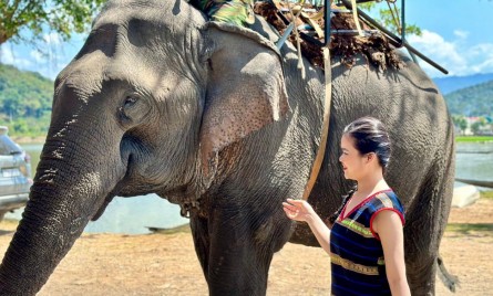 Tour Đắk Lắk 1 Ngày: Làng Cà Phê Trung Nguyên – Hồ Lắk – Núi Đá Voi Mẹ – Thác Dray Nur