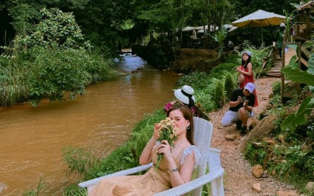 Cafe Rừng Thông Đà Lạt: Không Gian Chill, View Đẹp Hút Hồn